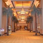 emirates-palace-interno