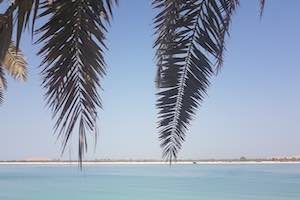 Rediscover Abu Dhabi through a staycation